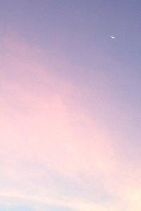 开云体育多语言中文版-奥地利帆船选手再勇夺金牌，扬名立万