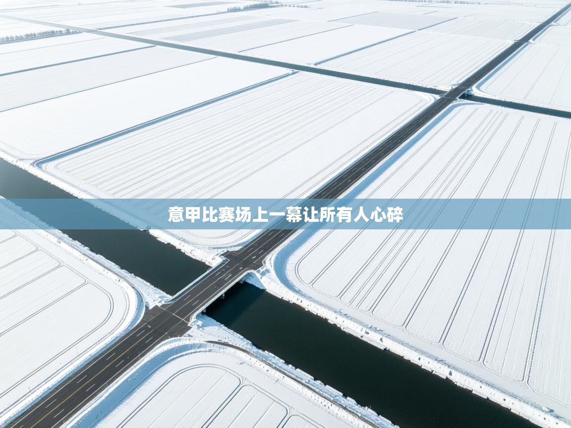 开云手机版-意甲比赛场上一幕让所有人心碎