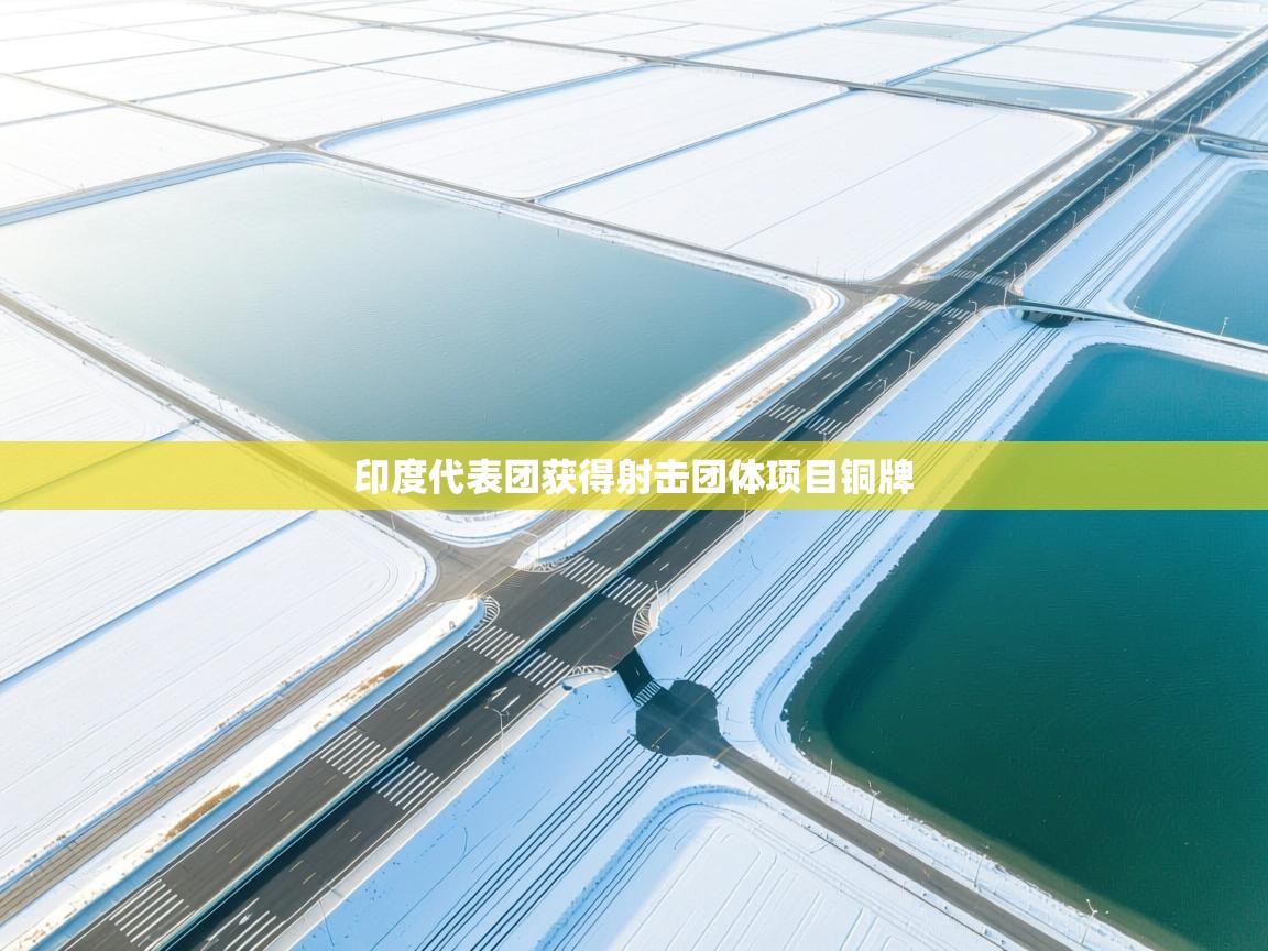 开云体育在线登录-印度代表团获得射击团体项目铜牌  第2张