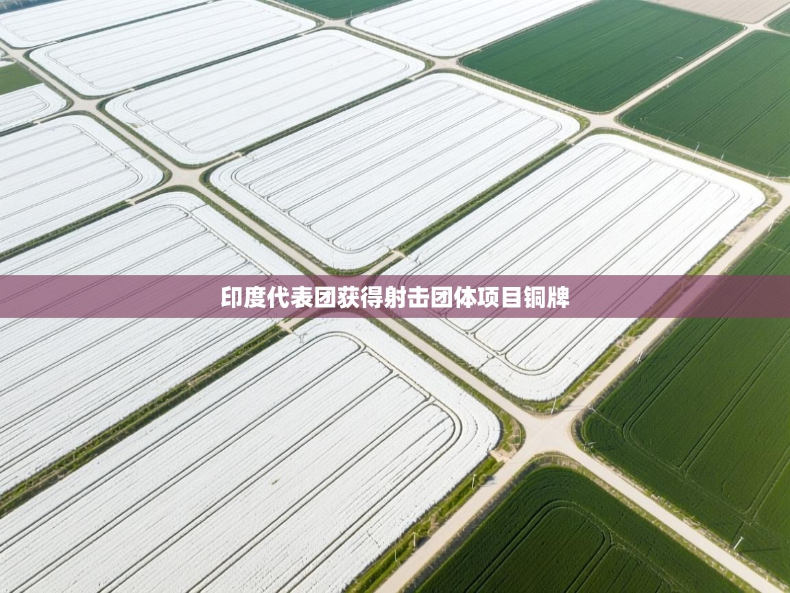 开云体育在线登录-印度代表团获得射击团体项目铜牌  第4张