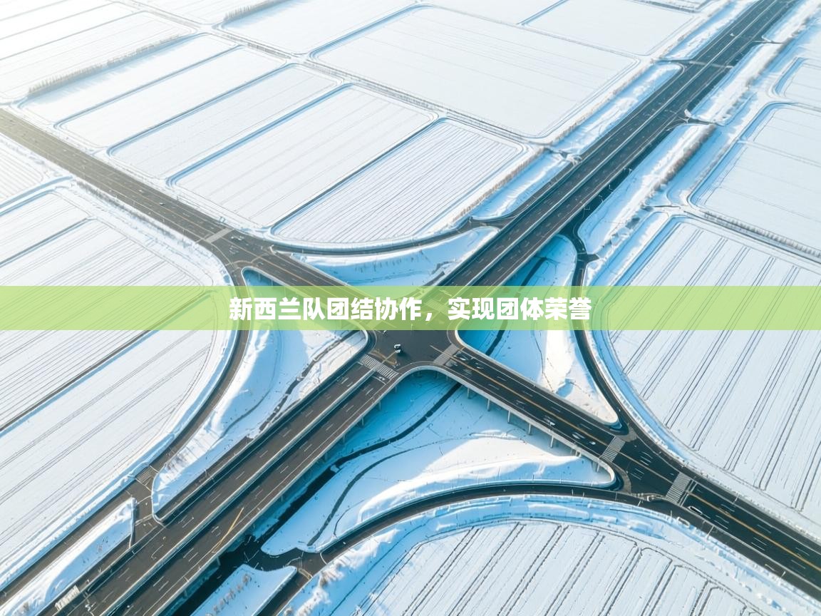 开运体育登录入口-新西兰队团结协作，实现团体荣誉