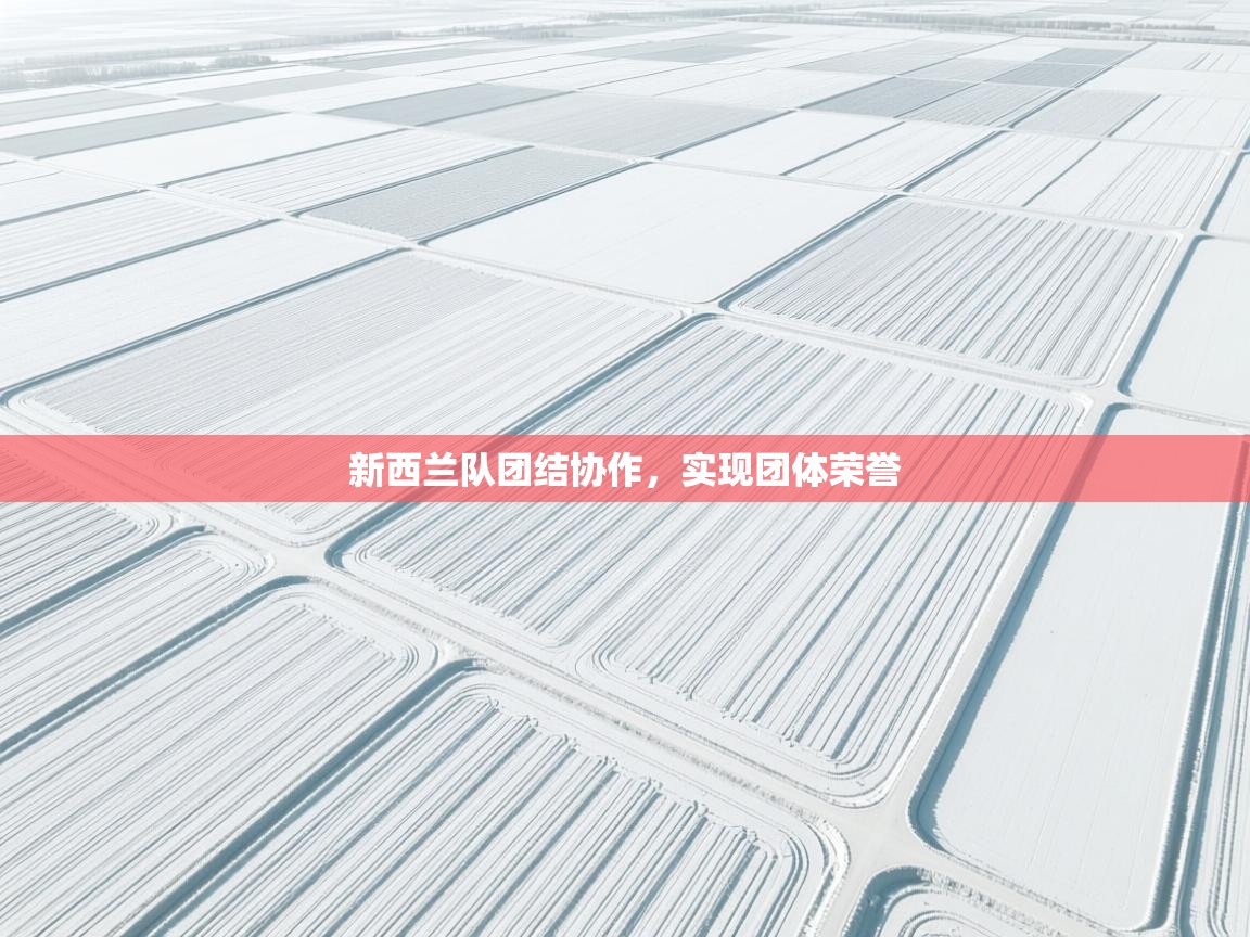 开运体育登录入口-新西兰队团结协作,实现团体荣誉 第2张