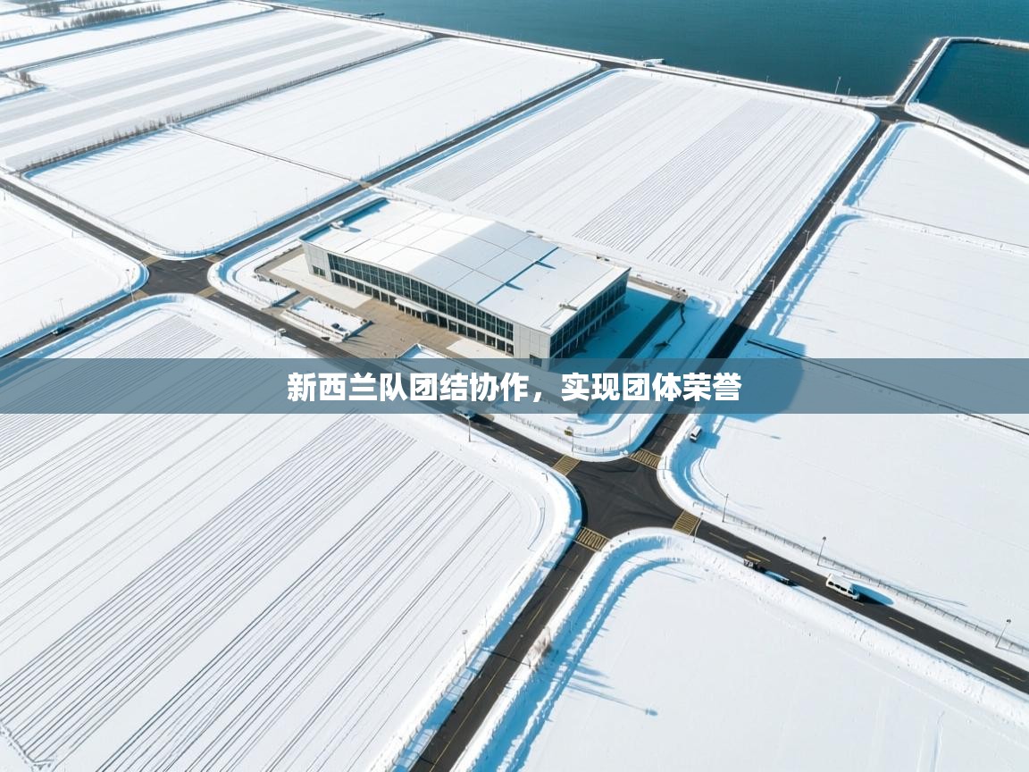 开运体育登录入口-新西兰队团结协作,实现团体荣誉 第3张