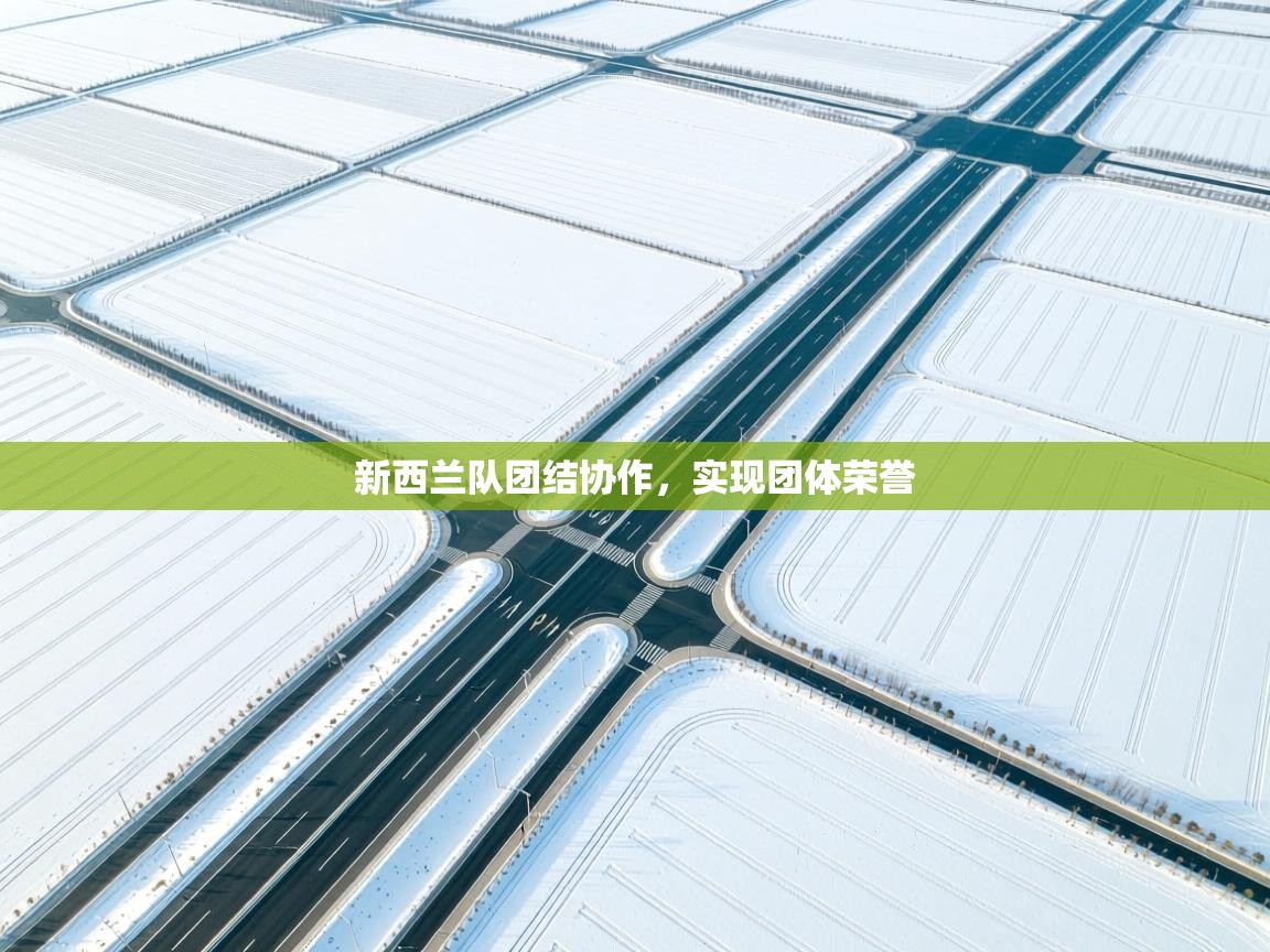 开运体育登录入口-新西兰队团结协作,实现团体荣誉 第4张