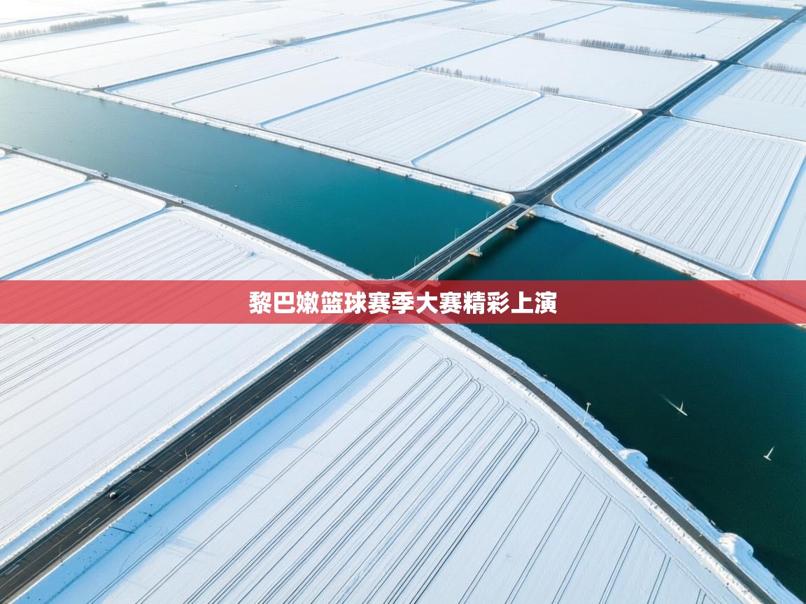 开云体育-黎巴嫩篮球赛季大赛精彩上演  第3张