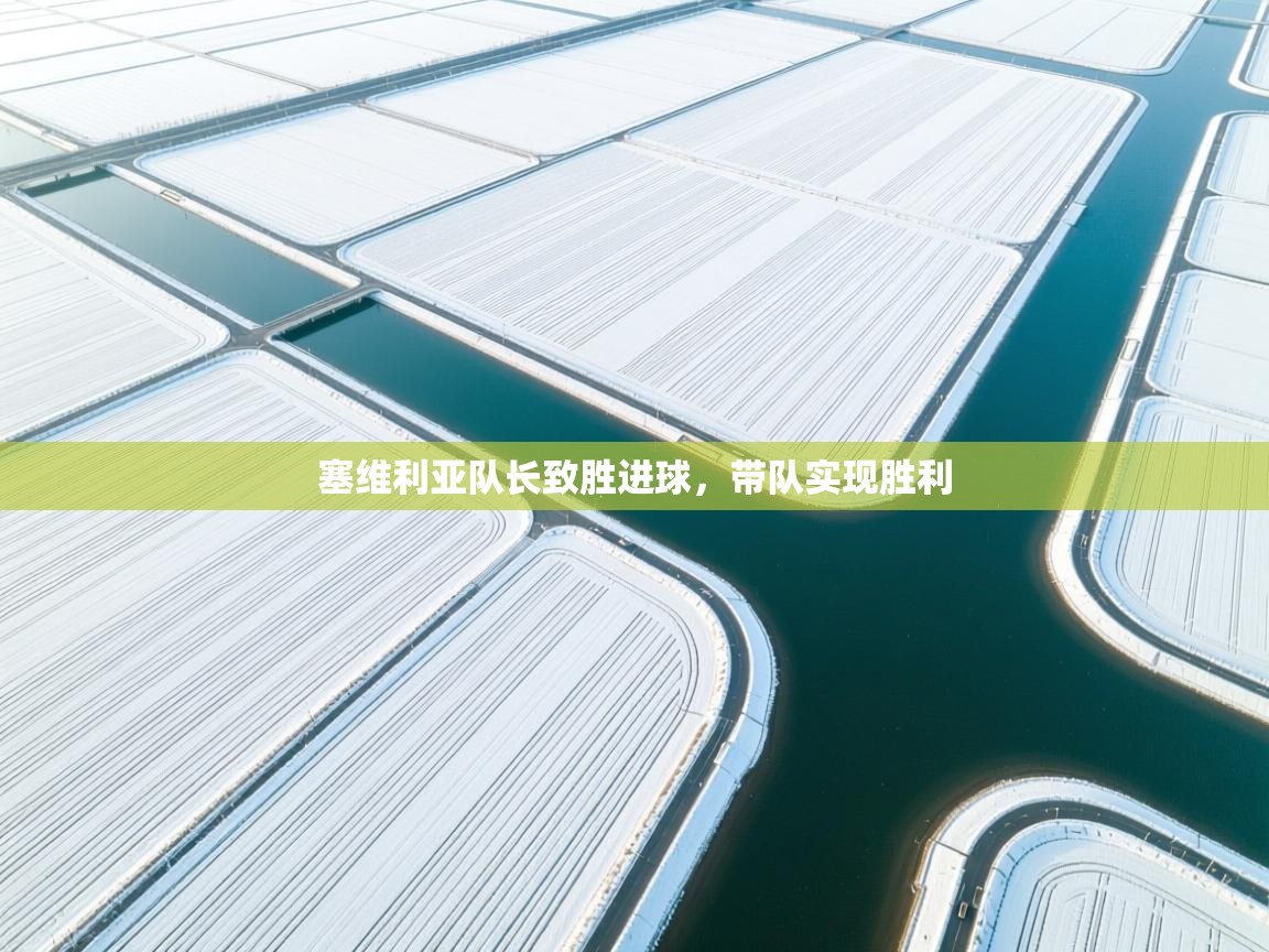 开云体育夜间模式开启-塞维利亚队长致胜进球,带队实现胜利 第2张