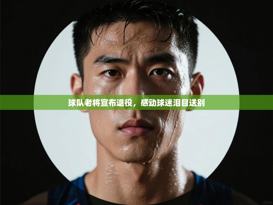 开云体育app网页版入口-球队老将宣布退役,感动球迷泪目送别 第2张
