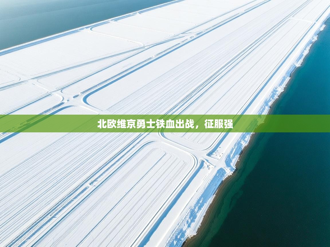 开云体育客服在线咨询-北欧维京勇士铁血出战，征服强  第2张